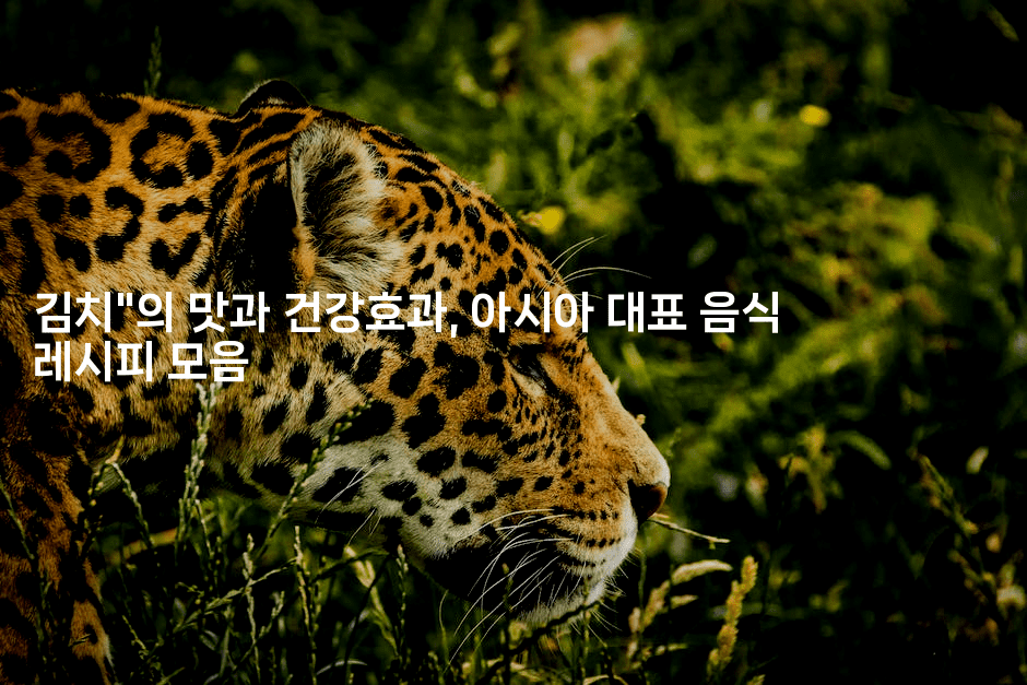 김치"의 맛과 건강효과, 아시아 대표 음식 레시피 모음
-레시피꾼