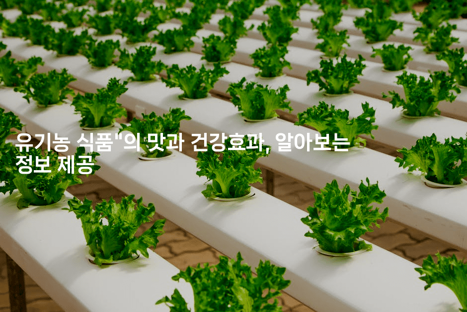 유기농 식품"의 맛과 건강효과, 알아보는 정보 제공
-레시피꾼