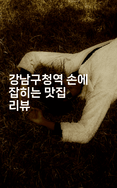 강남구청역 손에 잡히는 맛집 리뷰