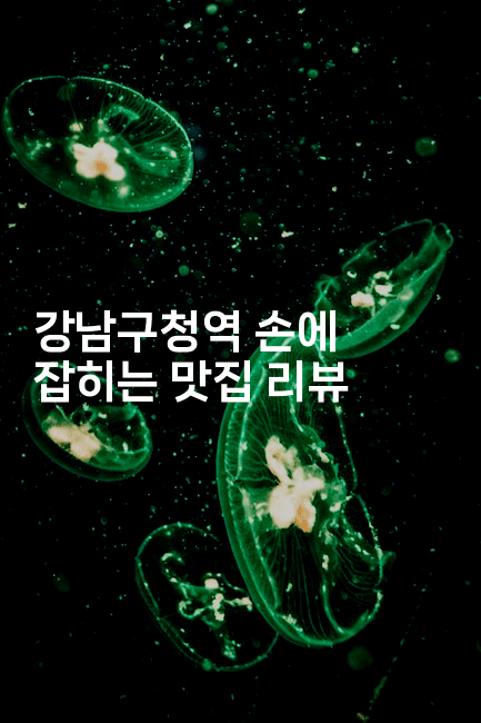 강남구청역 손에 잡히는 맛집 리뷰2-레시피꾼