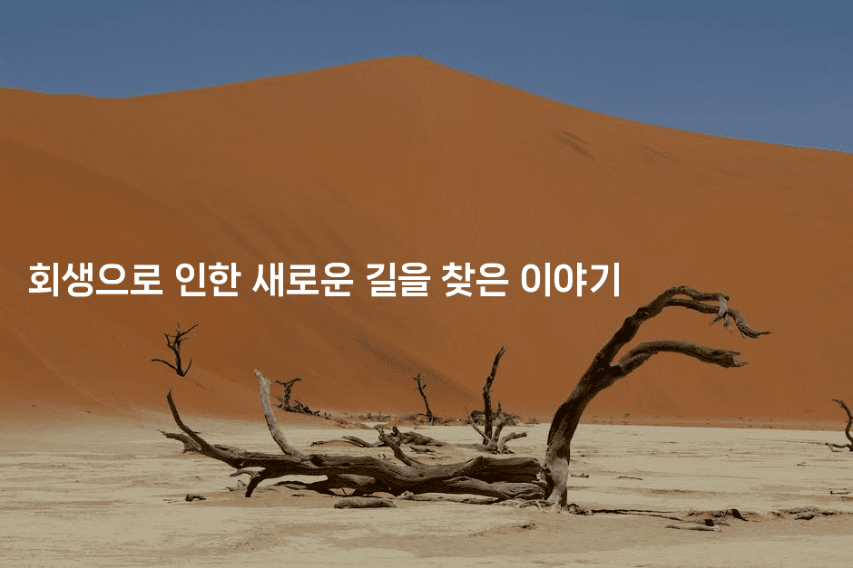 회생으로 인한 새로운 길을 찾은 이야기-레시피꾼