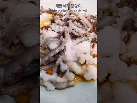 세발낙지 탕탕이 한국 특이한 음식 thin octopus sashimi Korean amazing food