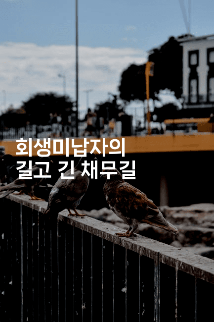 회생미납자의 길고 긴 채무길