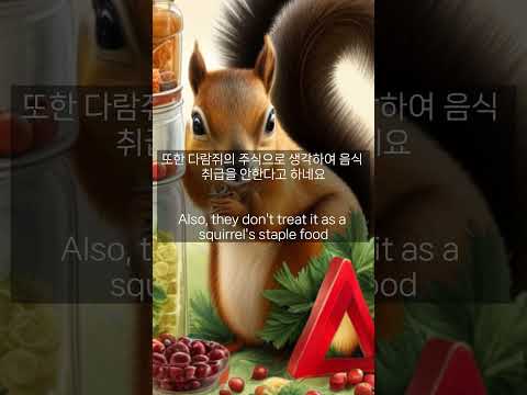 전 세계에서 한국인만 먹는 특이한 음식 Unique food that only Koreans eat around the world