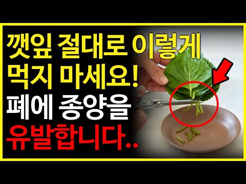 깻잎 절대로 이렇게 먹지마세요! 폐에 종양이 생기고 부작용을 일으킵니다. (깻잎과 같이 먹으면 안되는 음식과 깻잎의 효능, 보약보다 좋은 최고의 레시피)