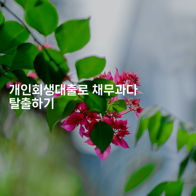 개인회생대출로 채무과다 탈출하기-레시피꾼