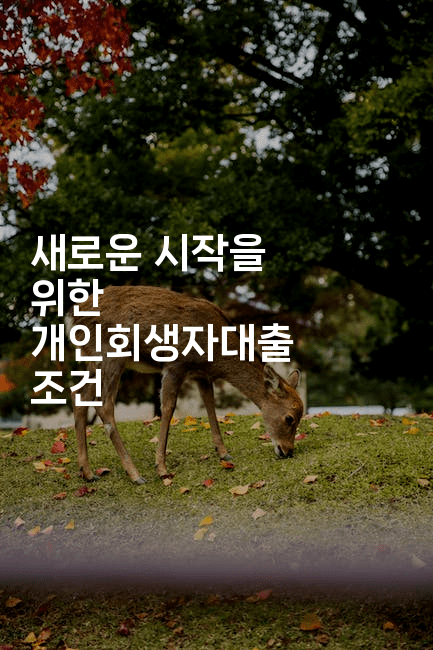 새로운 시작을 위한 개인회생자대출 조건-레시피꾼