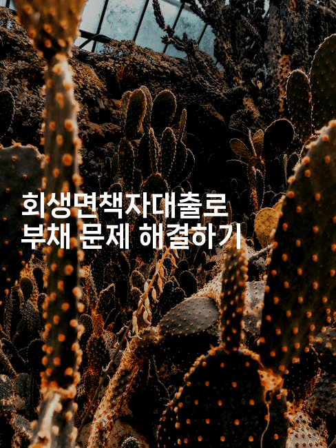 회생면책자대출로 부채 문제 해결하기