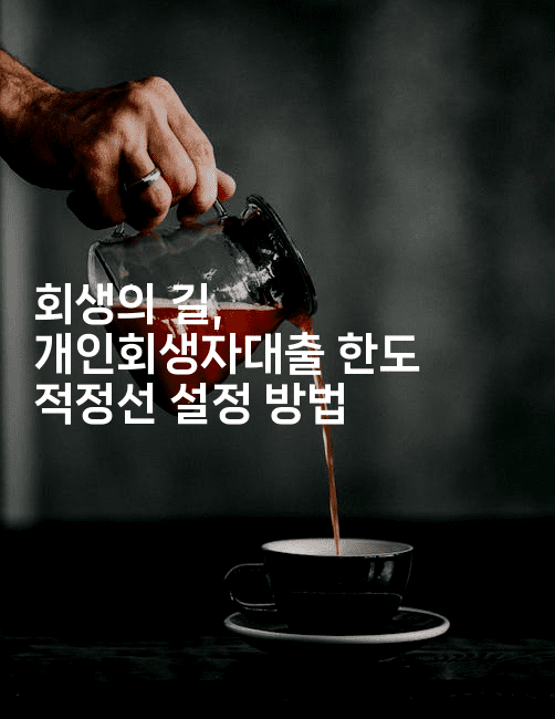 회생의 길, 개인회생자대출 한도 적정선 설정 방법