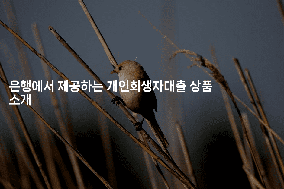 은행에서 제공하는 개인회생자대출 상품 소개-레시피꾼