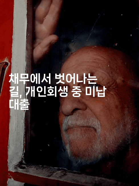 채무에서 벗어나는 길, 개인회생 중 미납 대출-레시피꾼